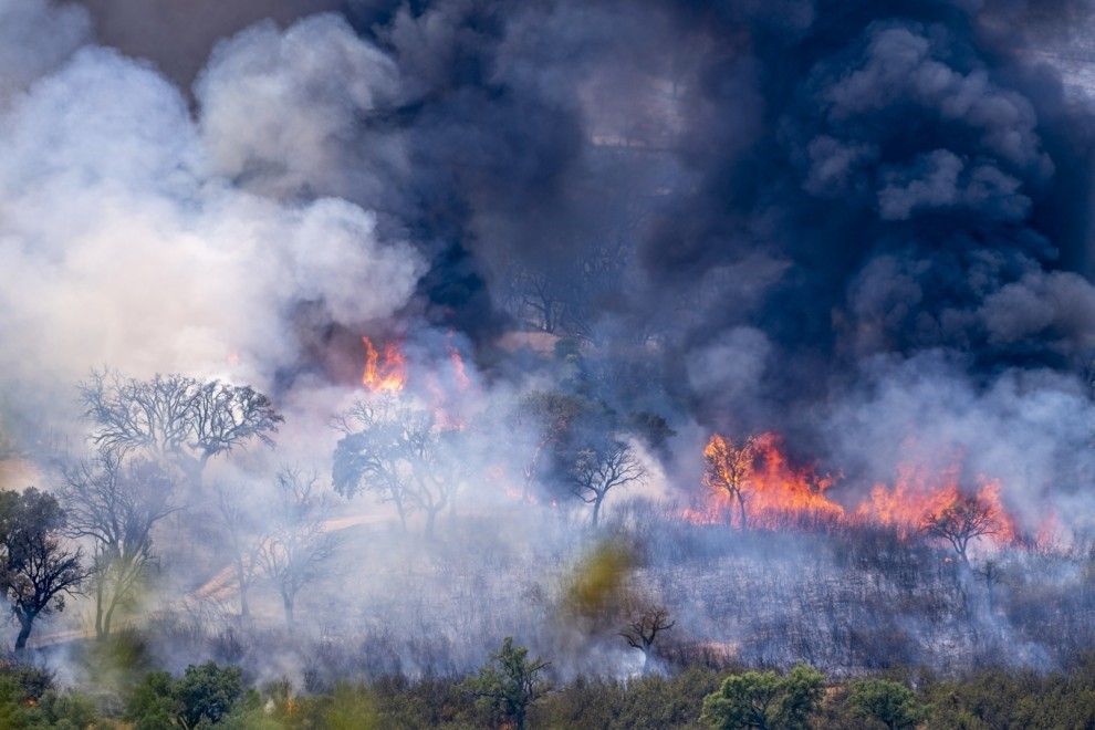 Incendio forestal en Deleitosa