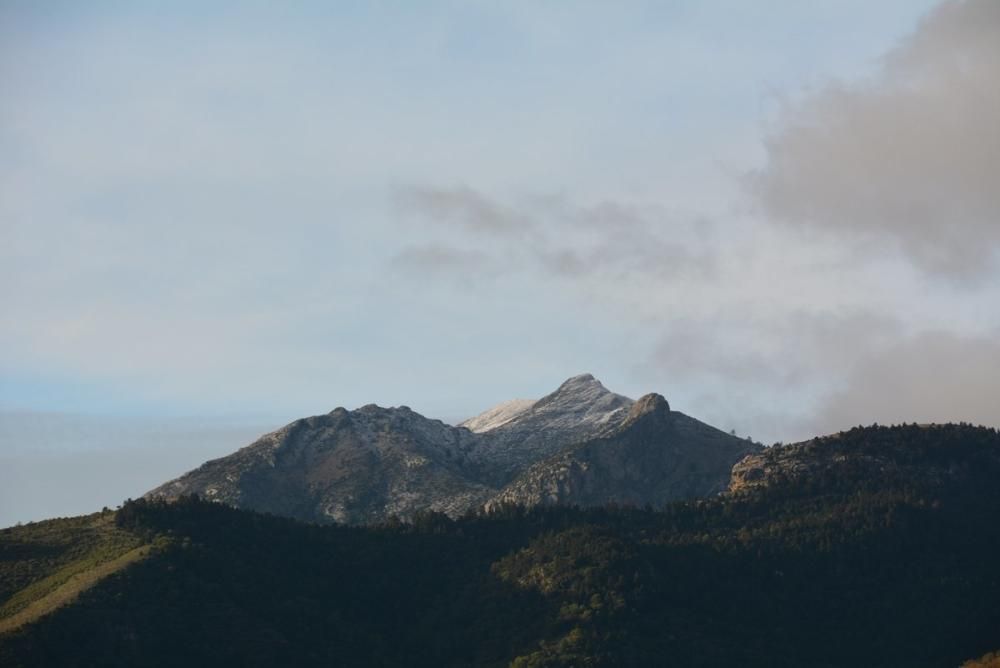 Primera nevada de la temporada en el Torrecilla.