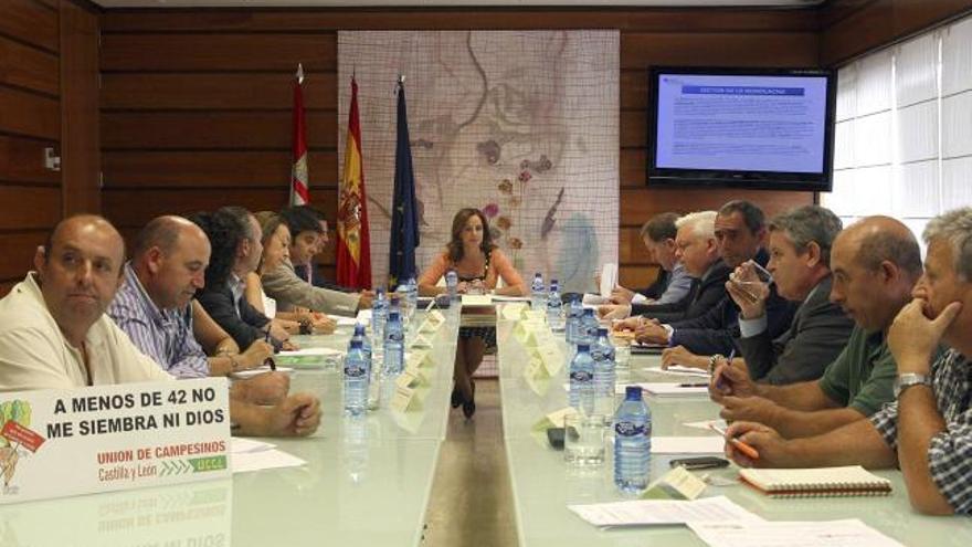 La consejera de Agricultura preside la reunión de la comisión sectorial sobre el cultivo de la remolacha.