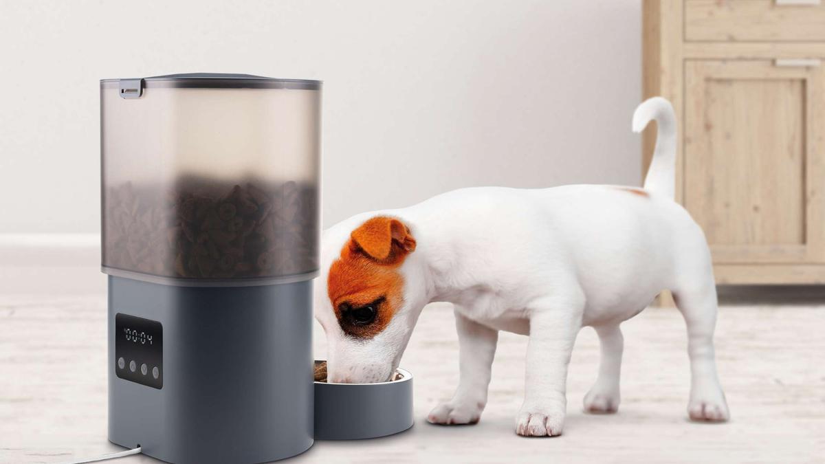 Evcil hayvanların refahı ve bakımı için teknoloji