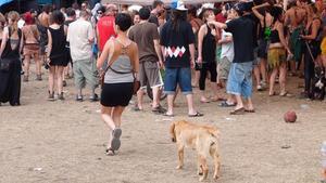 zentauroepp26419851 rave181202185024