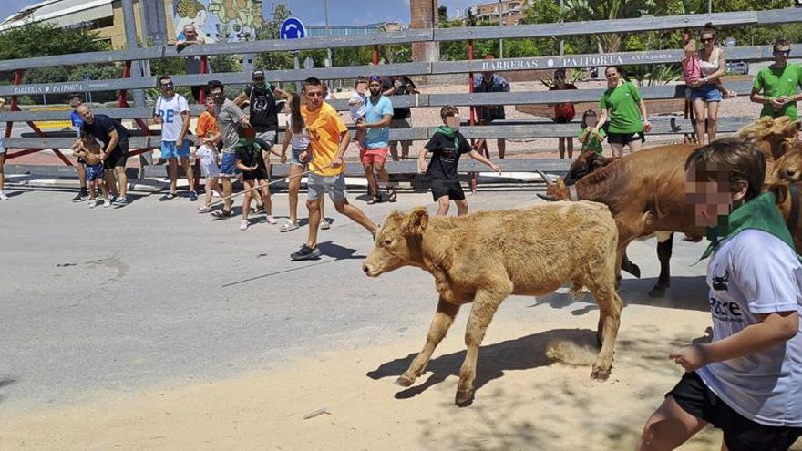 Festejos taurinos en Sagunt, en imágenes