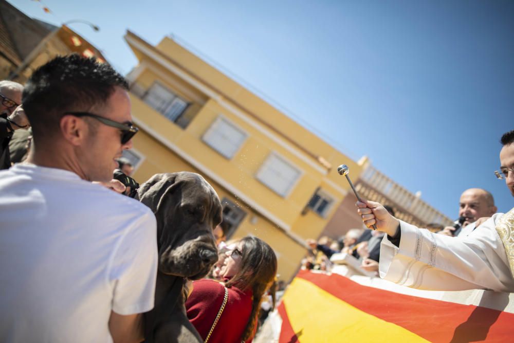 Cartagena celebra San Antón