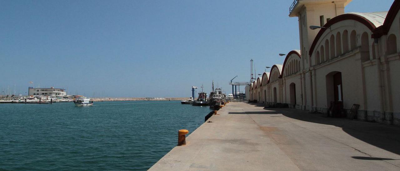 El muelle del puerto de Gandia, con la hilera de tinglados que ahora el ayuntamiento quiere aprovechar.     | XIMO FERRI