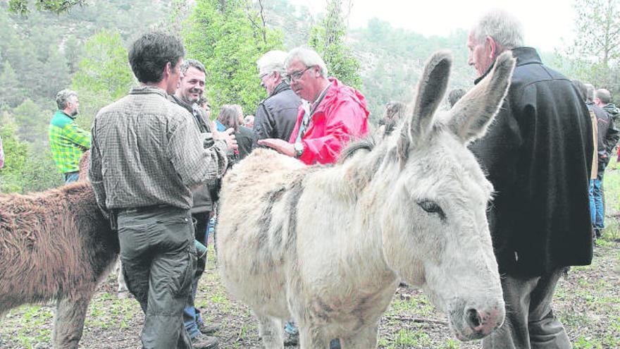 Un dels rucs d&#039;una finca d&#039;Orpí entre assistents a la jornada sobre gestió forestal d&#039;ahir