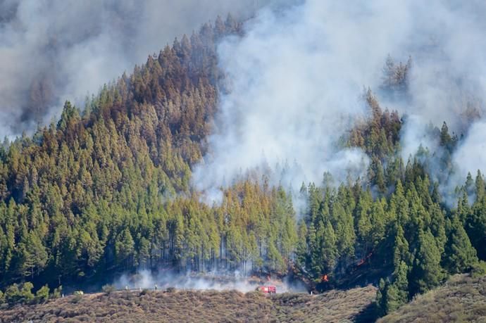 10-08-2019 ARTENARA. Incendio en la cumbre de Gran Canaria  | 10/08/2019 | Fotógrafo: Andrés Cruz