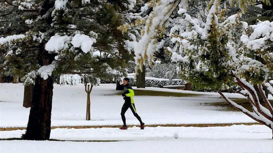 La nieve pasa de largo en Zaragoza y la ventisca complica la situación viaria