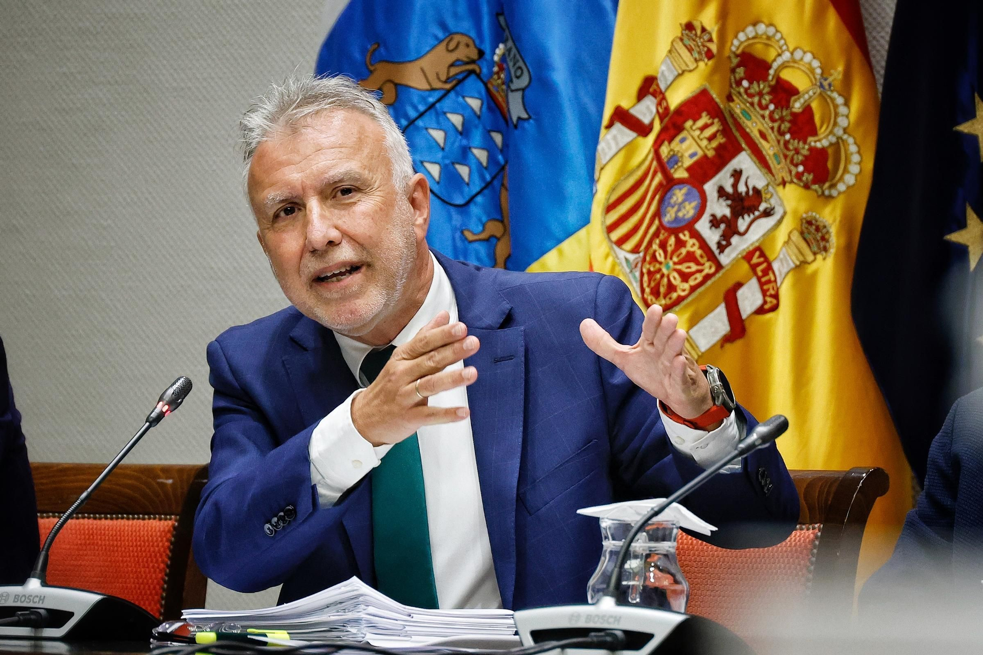 Comparecencia de Ángel Víctor Torres en el Parlamento de Canarias