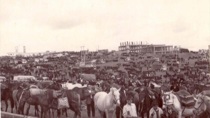 Una feria que trae cola...