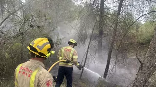 Dos incendios forestales causados por tormentas se declaran en Tarragona y Lleida