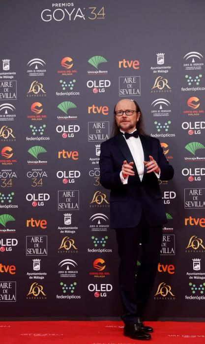 Alfombra roja de los Premios Goya 2020.