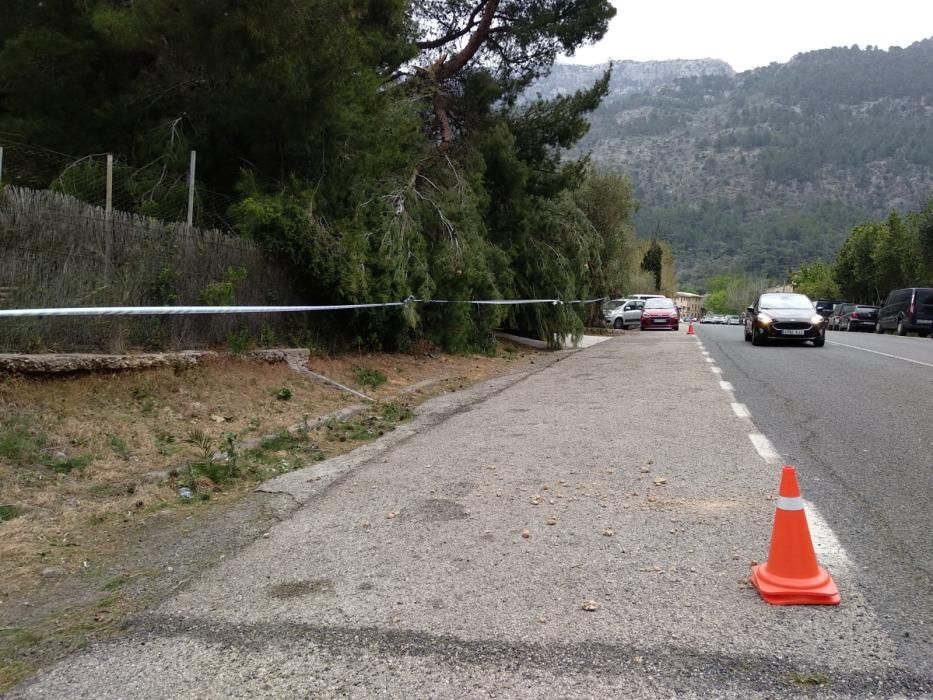 El temporal de viento provoca numerosos inciedentes en Sóller