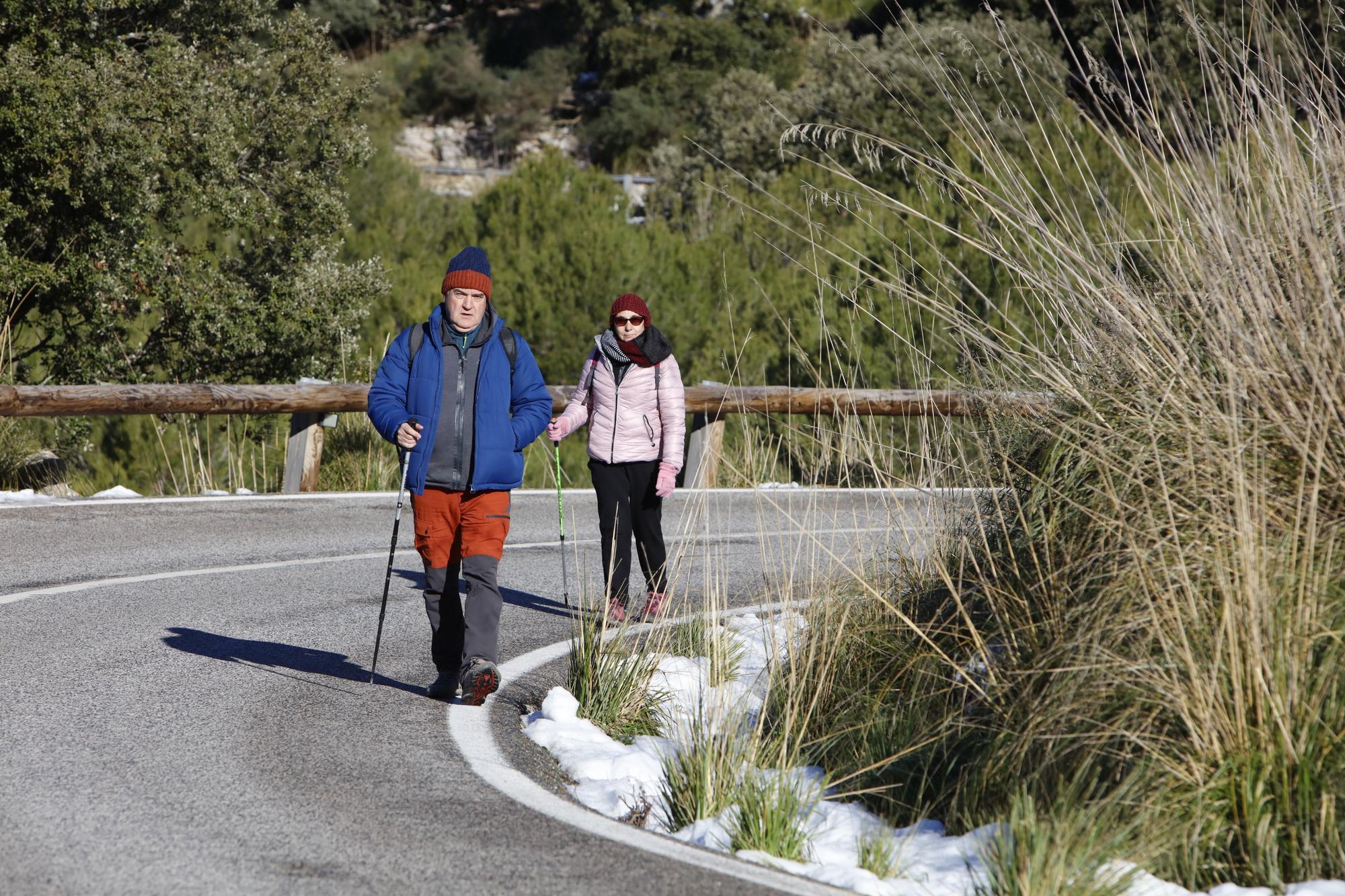 Schnee in der Tramuntana - Wanderung am Stausee Cúber auf Mallorca