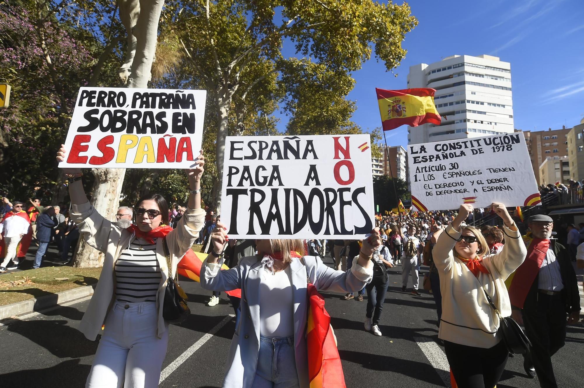 La manifestación del PP contra la amnistía de Málaga,  en imágenes