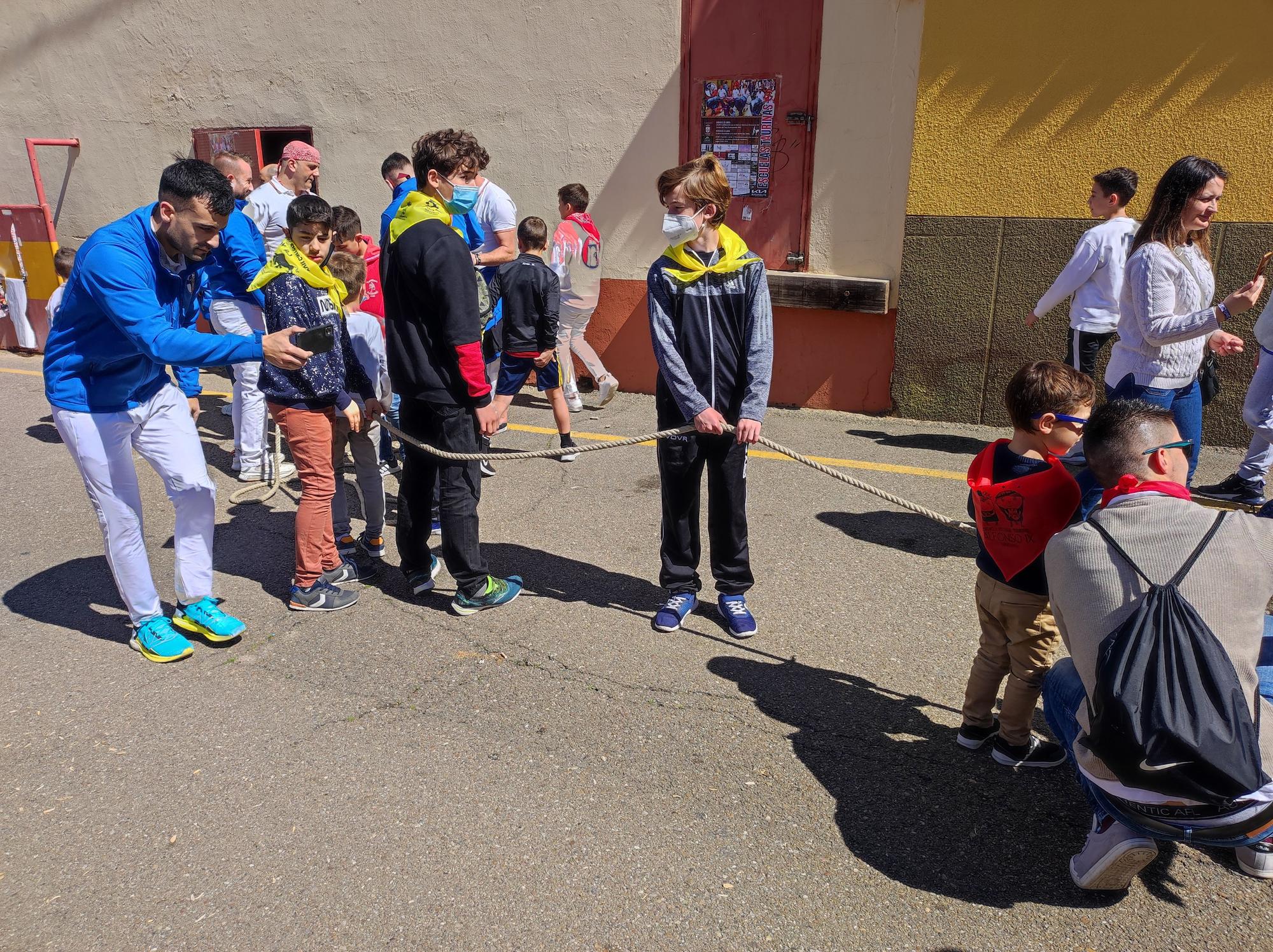 Imperioso, el carretón gigante de la Escuelas Taurinas de Benavente