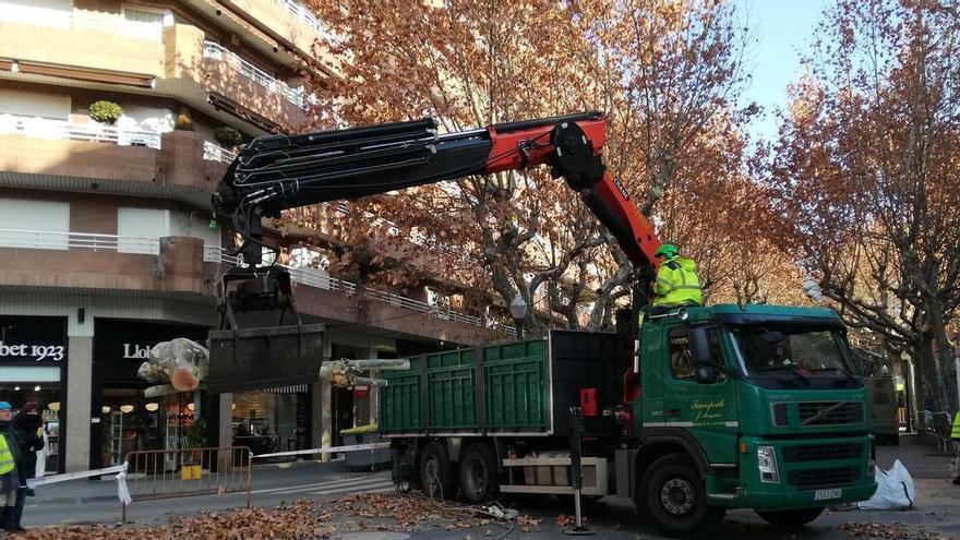 Fem Manresa presenta una moció per ampliar el nombre d’arbres als carrers de la ciutat