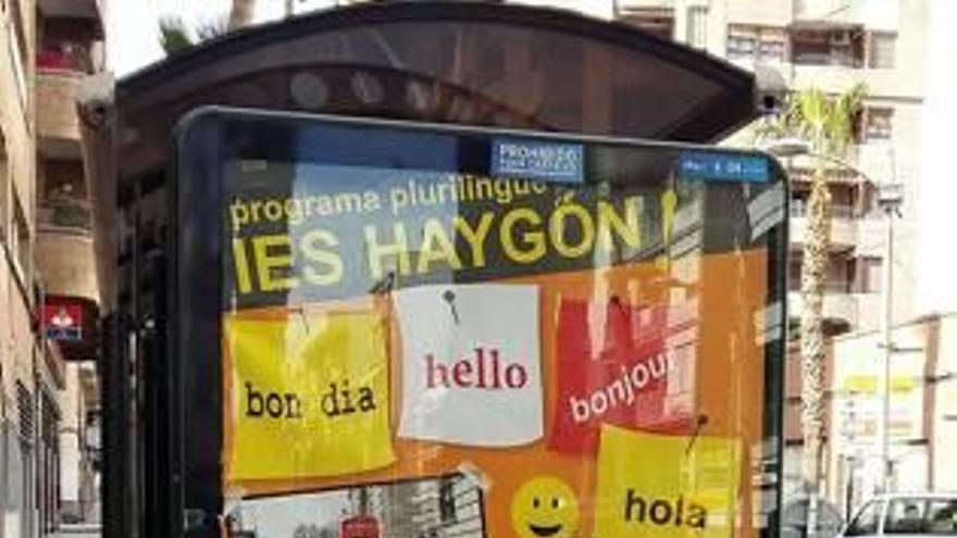 El «Haygón» completa por primera vez la matrícula al incorporar el plurilingüismo