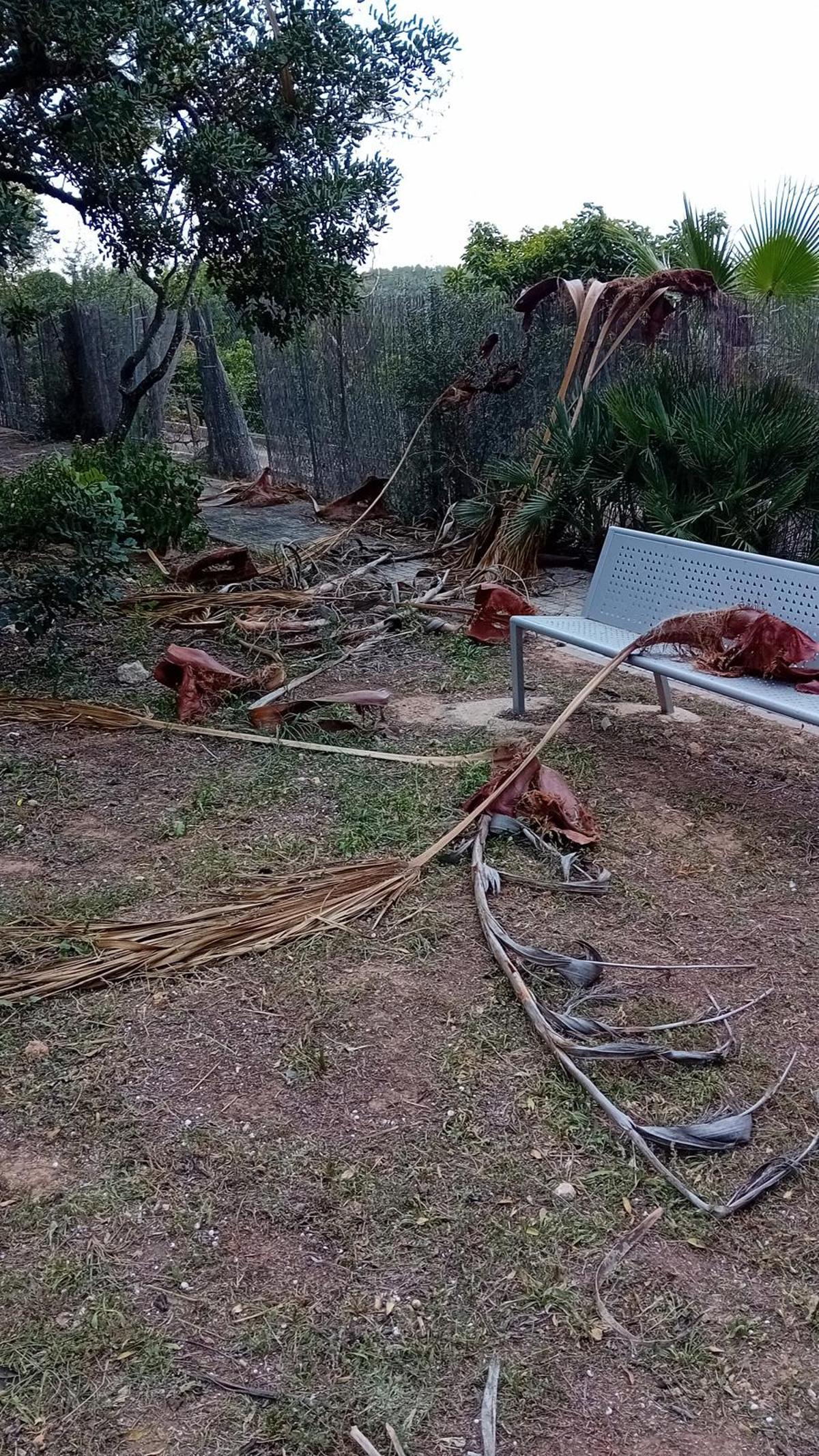 La vegetación inunda las aceras