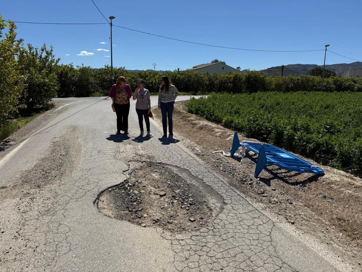 Bache en Sangonera la Verde.