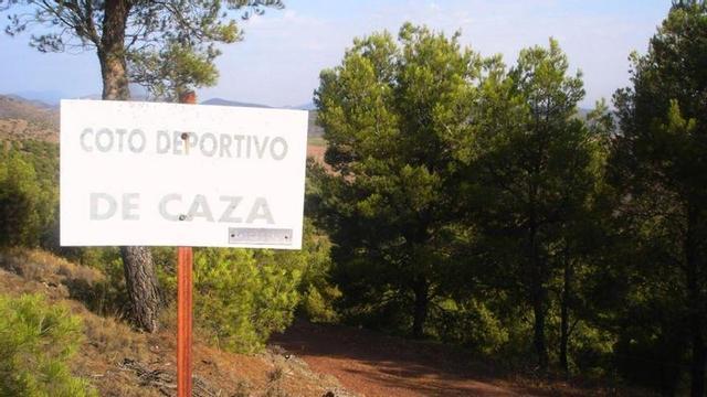 La población de conejos se dispara de nuevo con la limitación de la caza