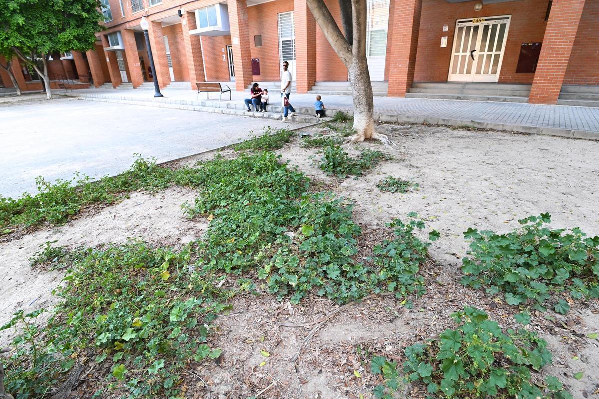 Parterre en mal estado.