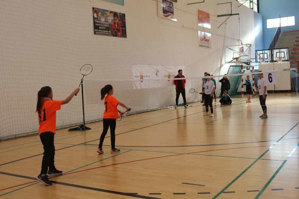 Final Regional de bádminton de Deporte Escolar