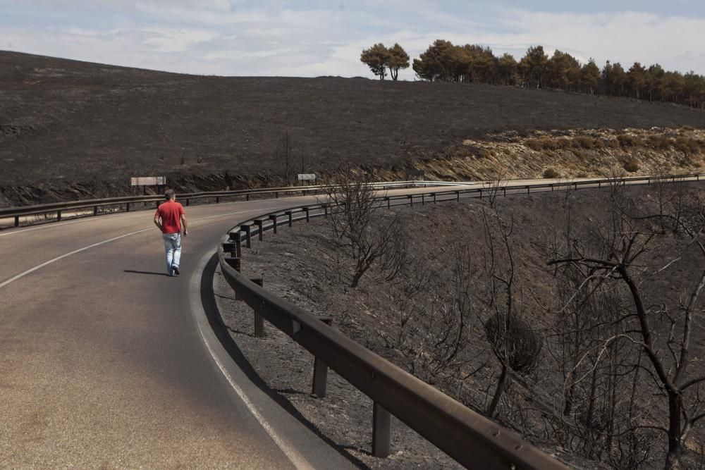 Incendio en los montes de León