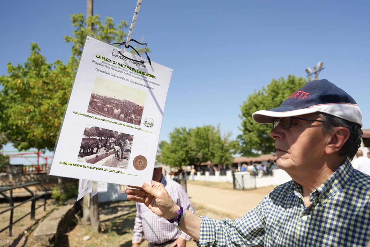 Fotogalería | Así se ha desarrollado la feria equina de Cáceres