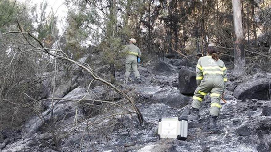 Detenido un jubilado por el incendio forestal que arrasó siete hectáreas en Donón