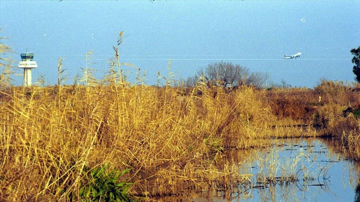 El aeropuerto de El Prat visto desde la laguna de La Ricarda.