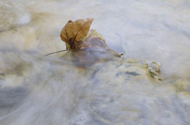 Natura muerta (Victoria Rivero Méndez)