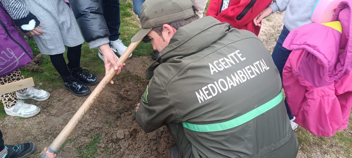 GALERÍA | Día del Árbol en Sayago con plantación de encinas y alcornoques GALERÍA | Día del Árbol en Sayago con plantación de encinas y alcornoques