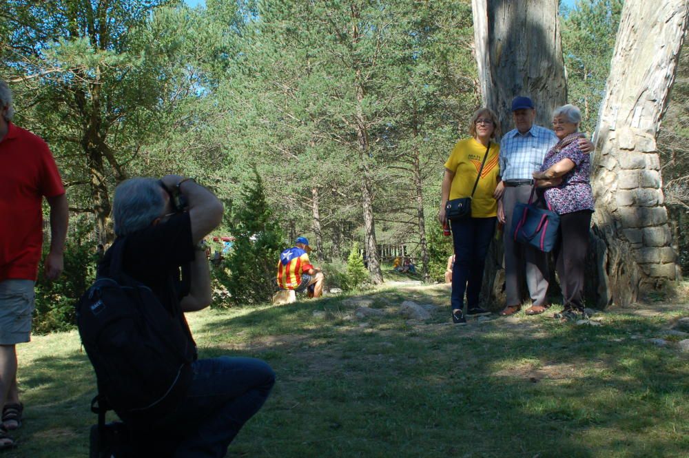 Aplec del Pi de les Tres Branques