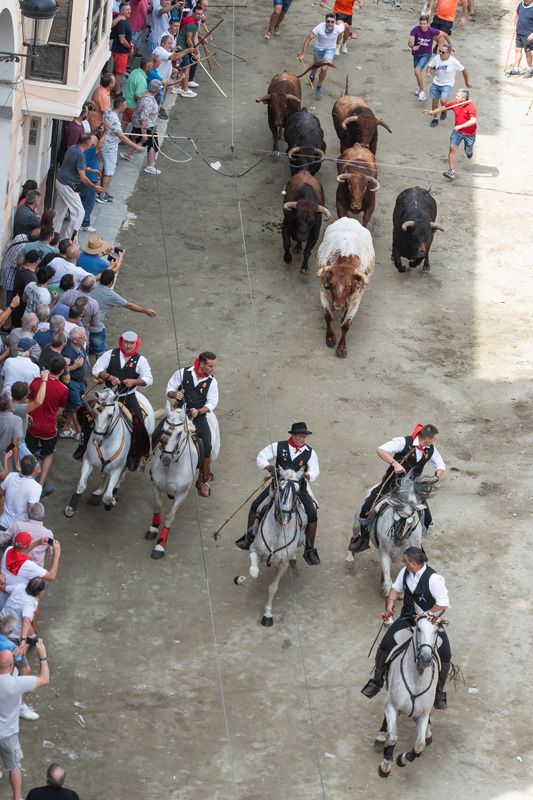 Fotogalería de la segunda Entrada de Toros y Caballos de Segorbe