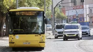 Los niños de hasta 7 años viajarán gratis en el transporte público en Murcia