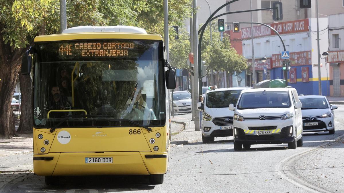Autobús en Murcia