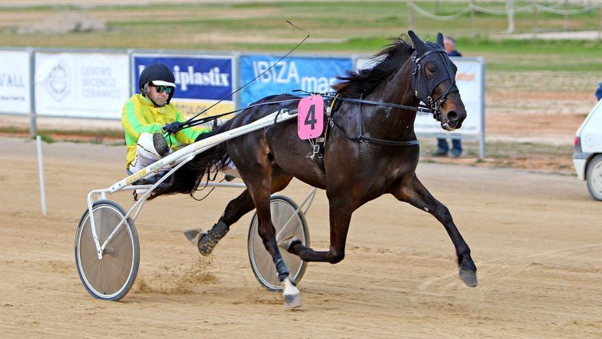 El potro Killian de Son Palou marca el ritmo en Sant Rafel