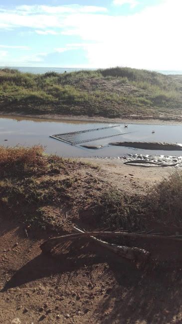 Salvemos Lo Ferrís asegura que le muro en la propiedad privada multiplicó los efectos de las precipitaciones al acumular el agua