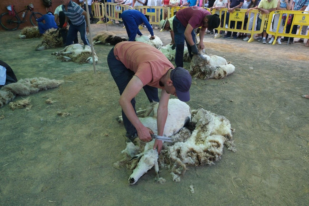 Miles de personas eligen Caideros y la Fiesta de la Lana para celebrar el Día de Canarias