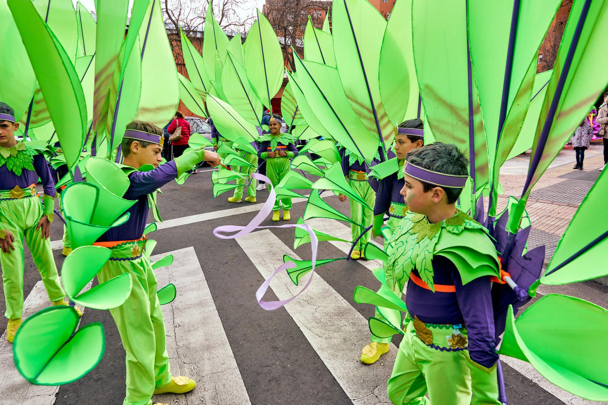 GALERÍA | El desfile del Carnaval de Cáceres