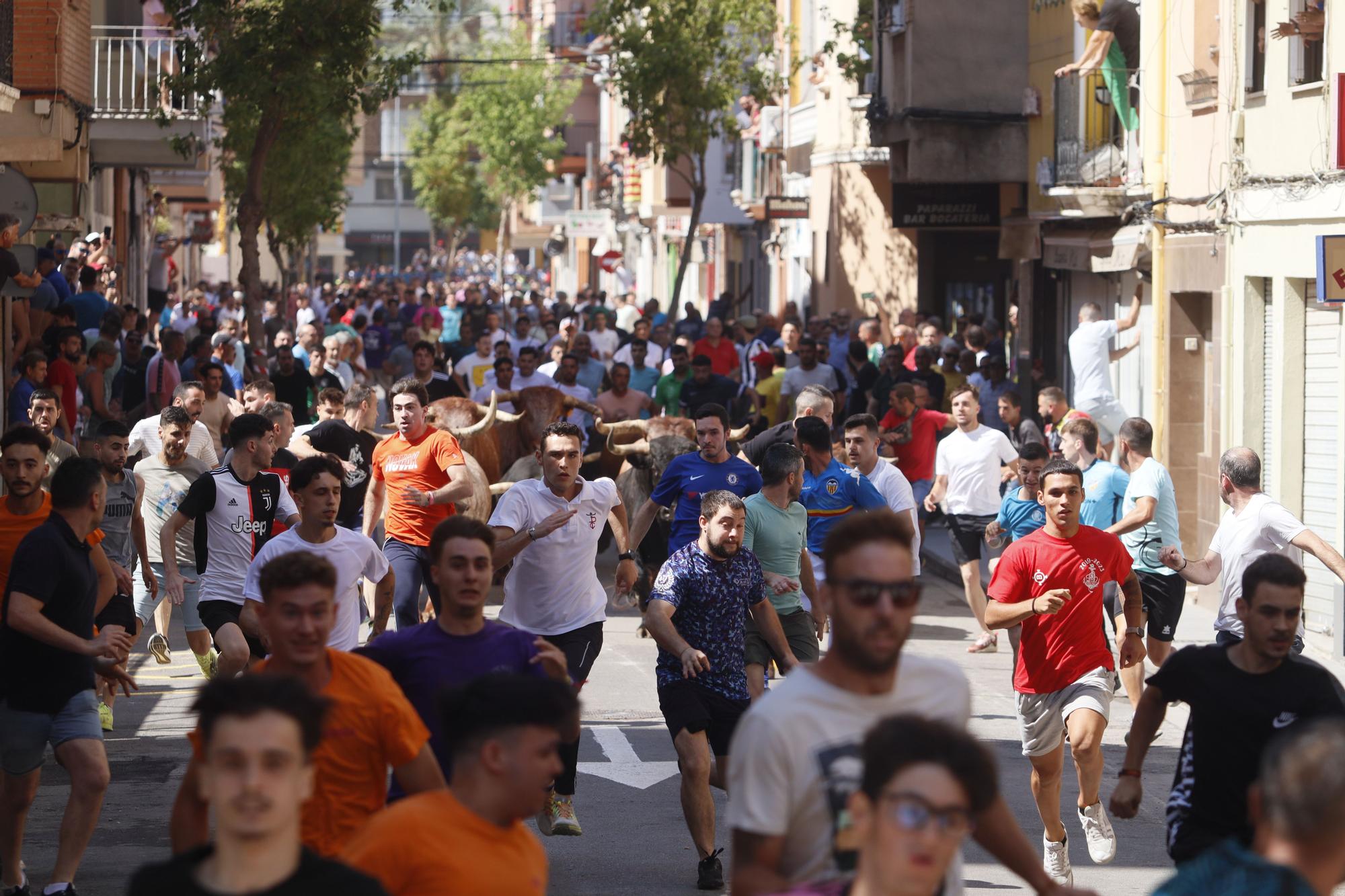 Fiestas de Sant Pere 2023: Las mejores imágenes del encierro de cerriles en el Grau de Castelló