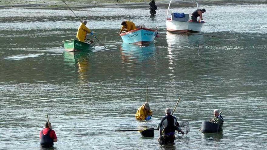 Mariscadores en la Ría de O Burgo.