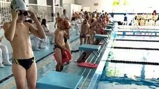 Más de 400 nadadores participan en el VII Memorial Miguel Ángel Vives Gomis de Elche