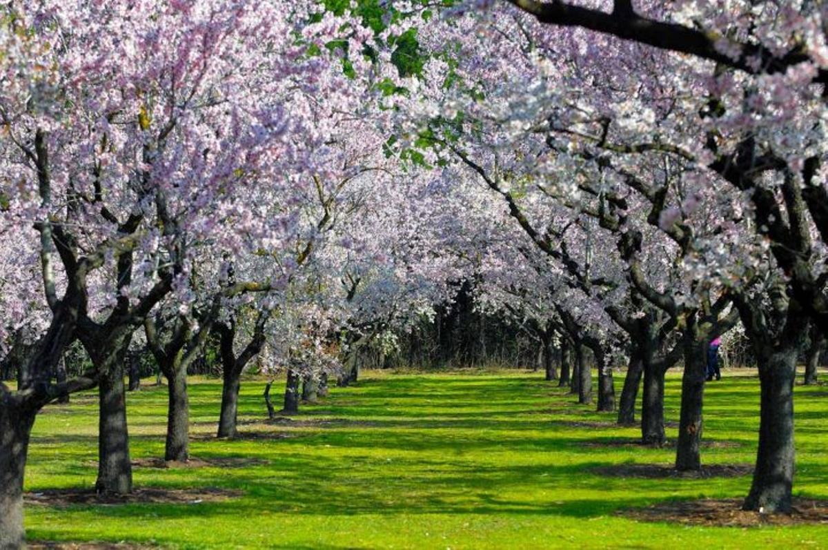 La entrada al recinto es gratuita y puedes acceder a él de 6:30 a 22:00 horas