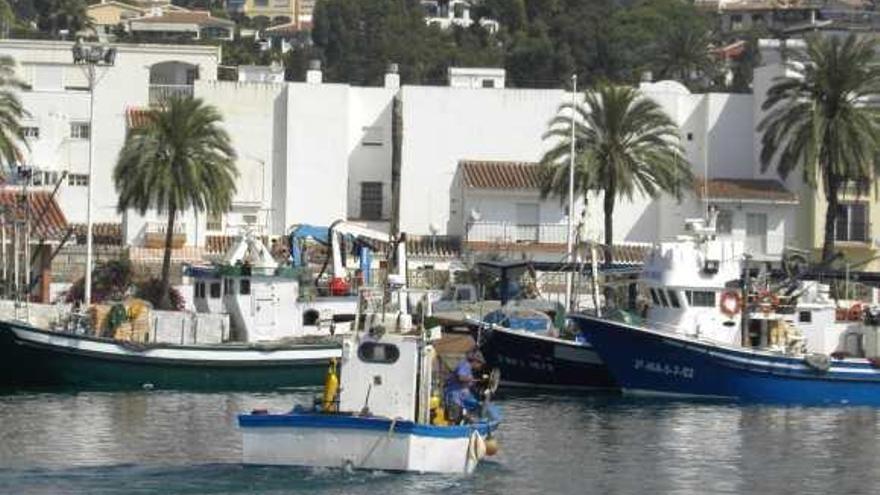 El puerto pesquero está situado en el corazón del litoral de la Axarquía.