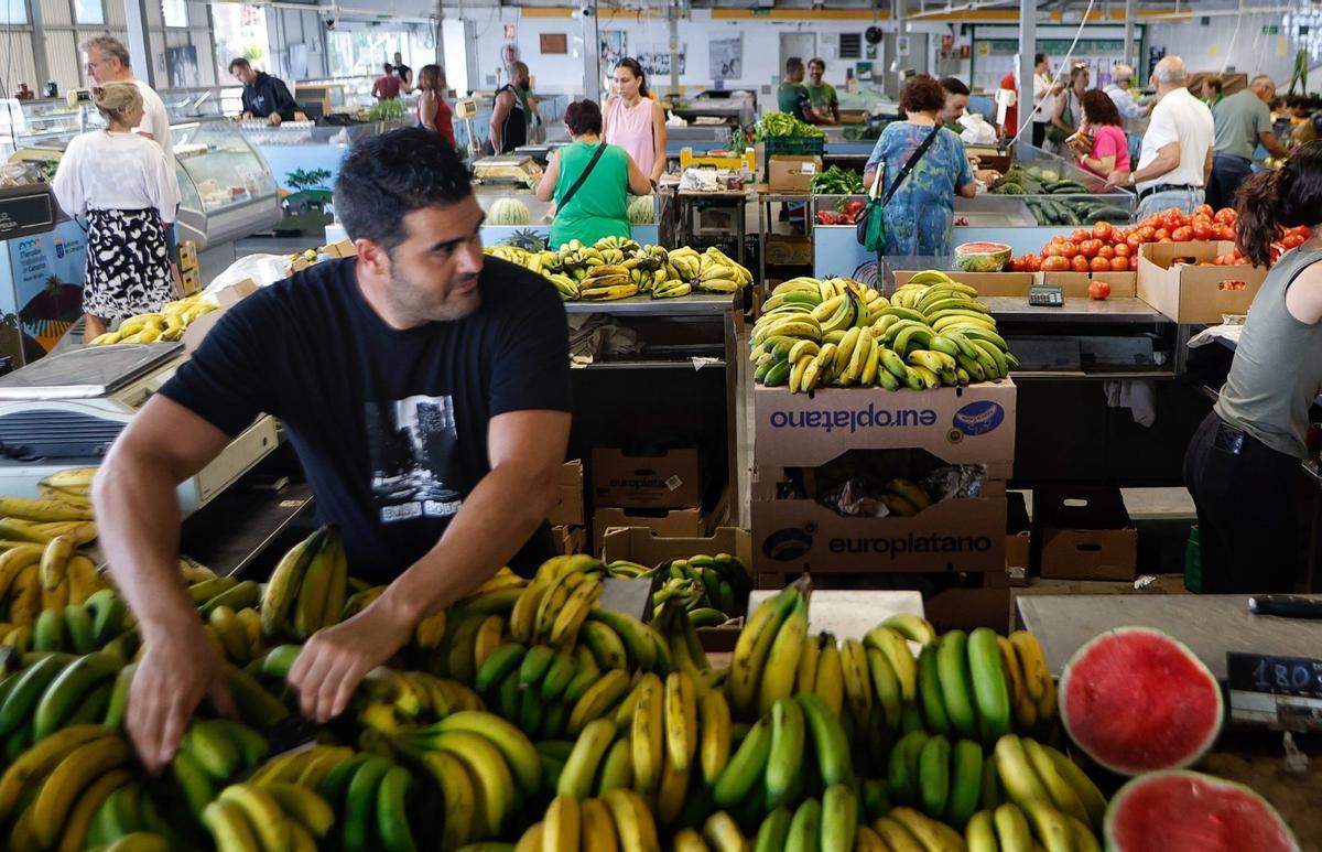 Agricultores en el mercadillo del municipio de Tacoronte.