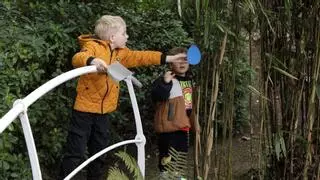 Al güevu pintu gigante en el Jardín Botánico