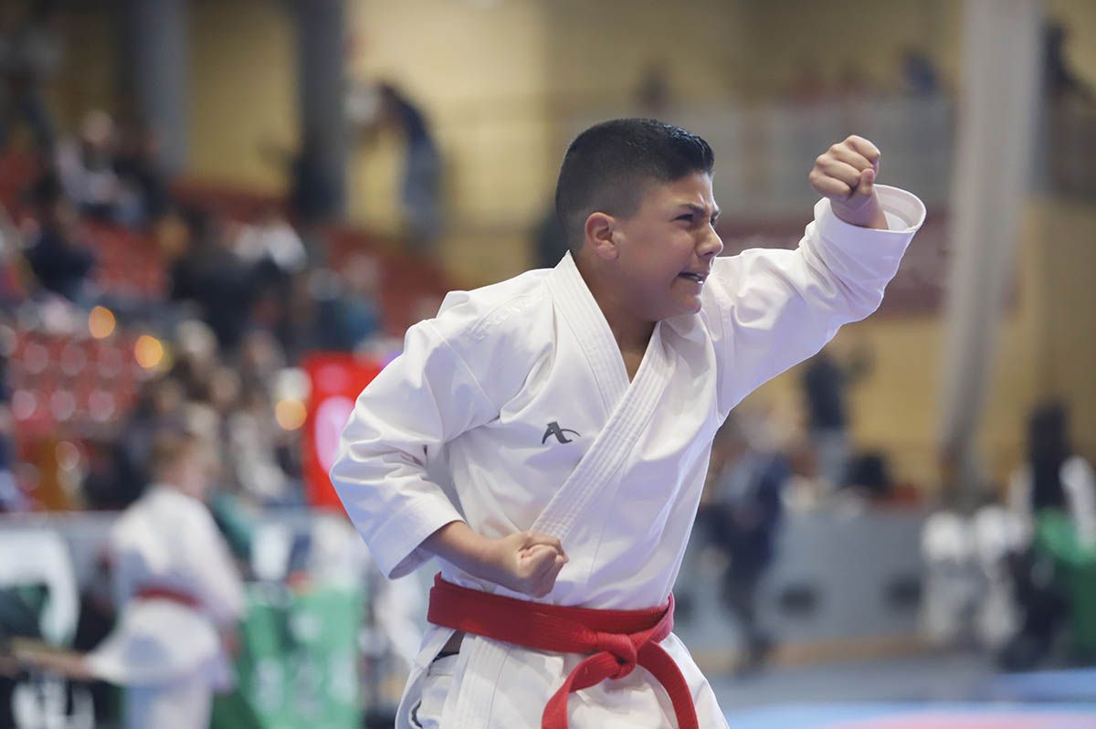 El Campeonato de Andalucía infantil de kárate y de parakárete, en imagenes