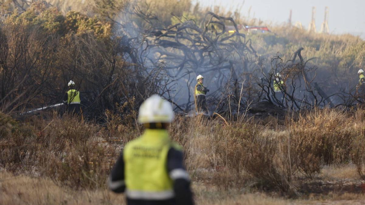 Intervención de los bomberos en el incendio de ayer en El Saler.