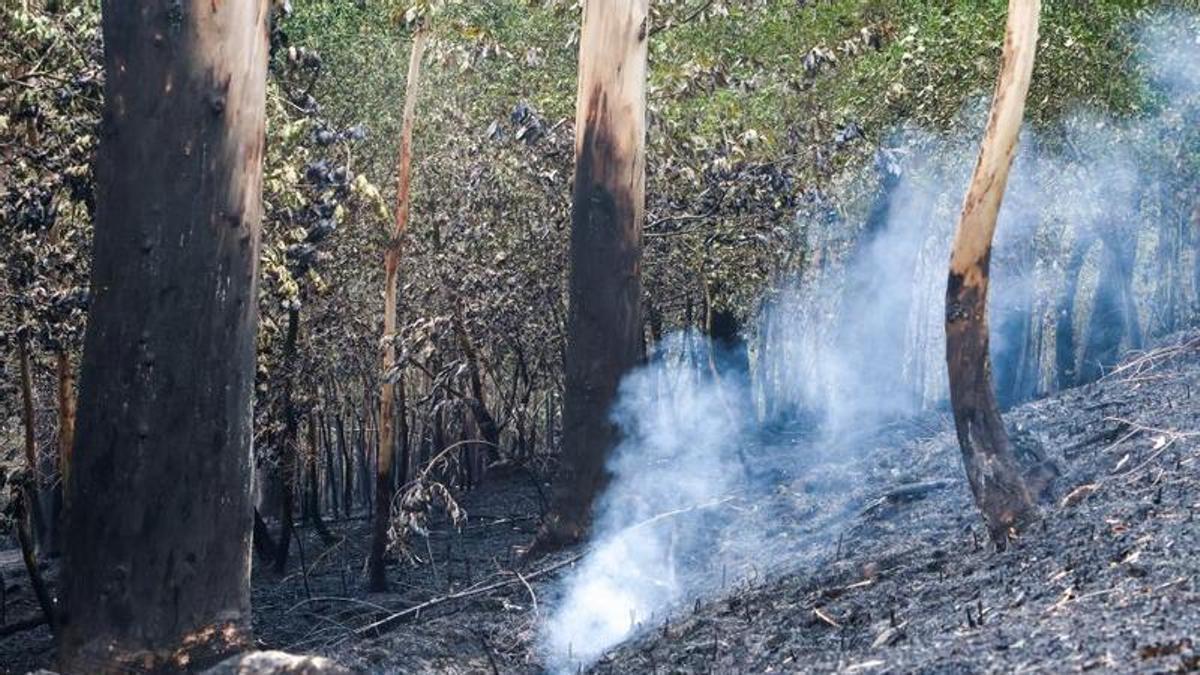 El incendio quedó estabilizado en la mañana de este lunes.